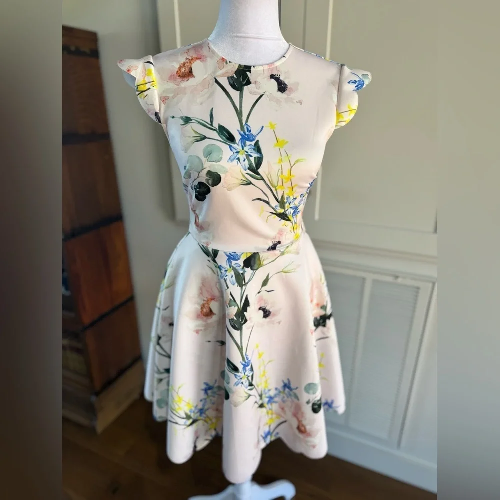 Ted Baker Karsali Elegance Scallop Skater Nude Pink Floral Cap Sleeve Dress 2 XS - Picture 8 of 16